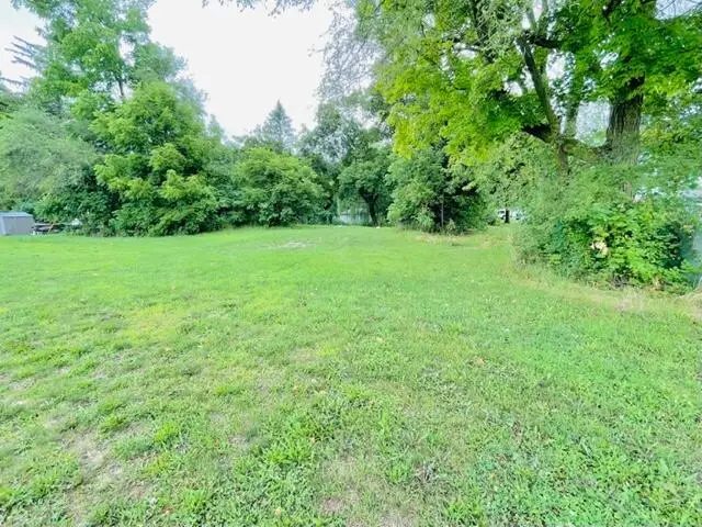 Lot 1 Ionia, Lake Odessa, MI 48849 - #3
