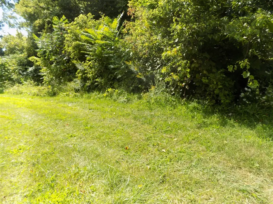 0 Mountain, Coloma, MI 49038 - #3