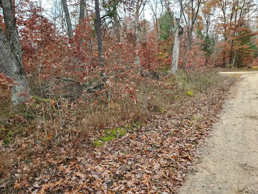 00 Dubois Ave, Idlewild, MI 49642 - Image #2