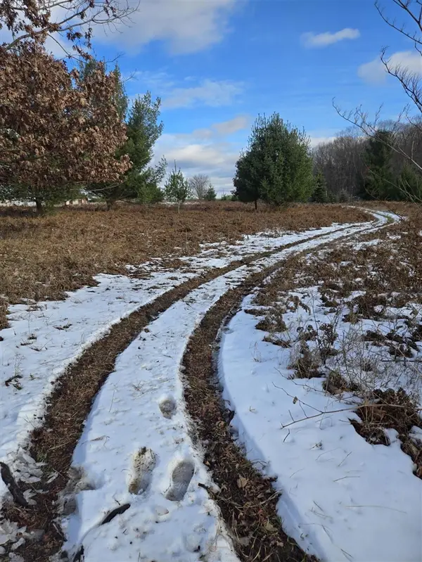 Lot 895 Lake Miramichi, Evart, MI 49631