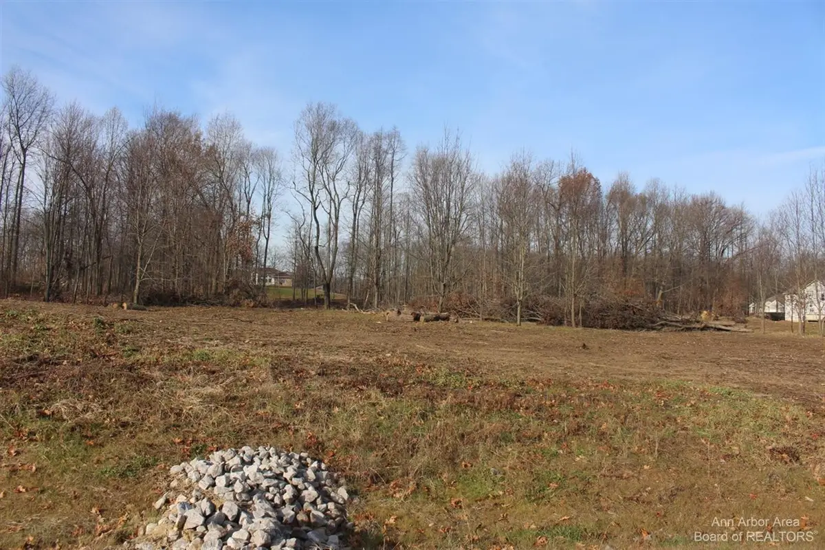 0 Lindsey Unit 21, Jackson, MI 49201 - Image #1