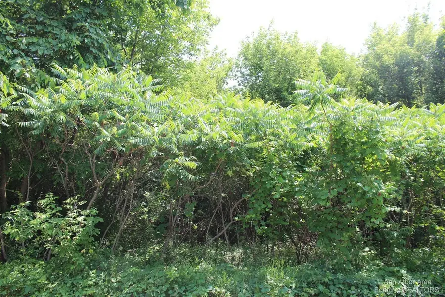 0 Vineyard Hills, Grass Lake, MI 49240 - Image #3