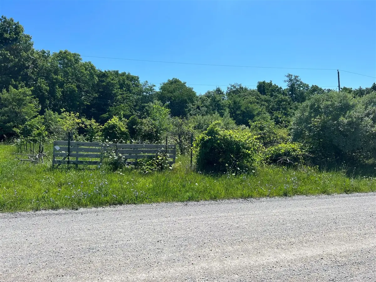 Parcel B W County Line, Greenville, MI 48838 - #1