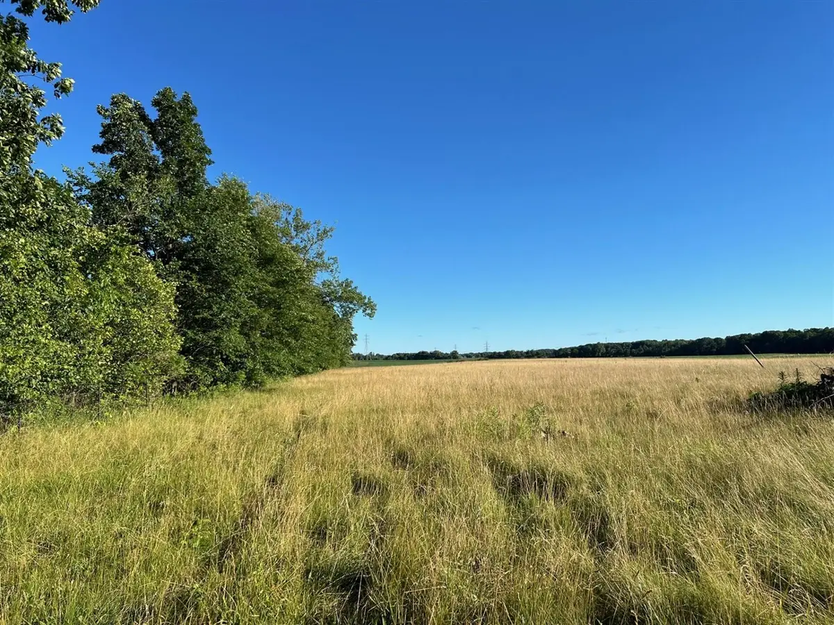 16244 Holden, Galien, MI 49113 - Image #1