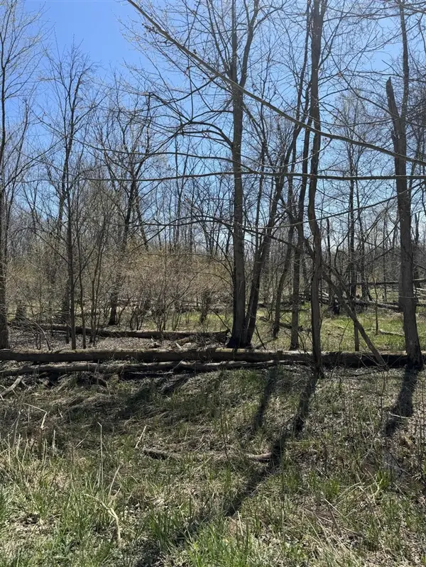 VL 18th, Grand Junction, MI 49056