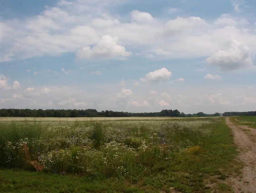 2154 17 Mile, Kent City, MI 49330 - #2