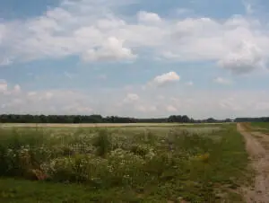 2152 17 Mile, Kent City, MI 49330 - #2