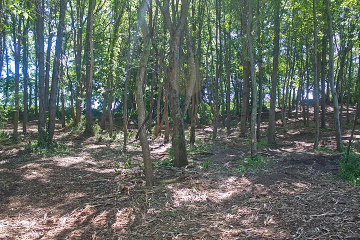 VL Pitcher, Benton Harbor, MI 49022 - Image #3