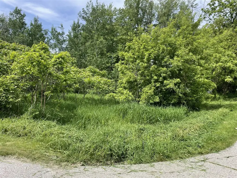 VL Ray And Elm, New Era, MI 49446 - #2