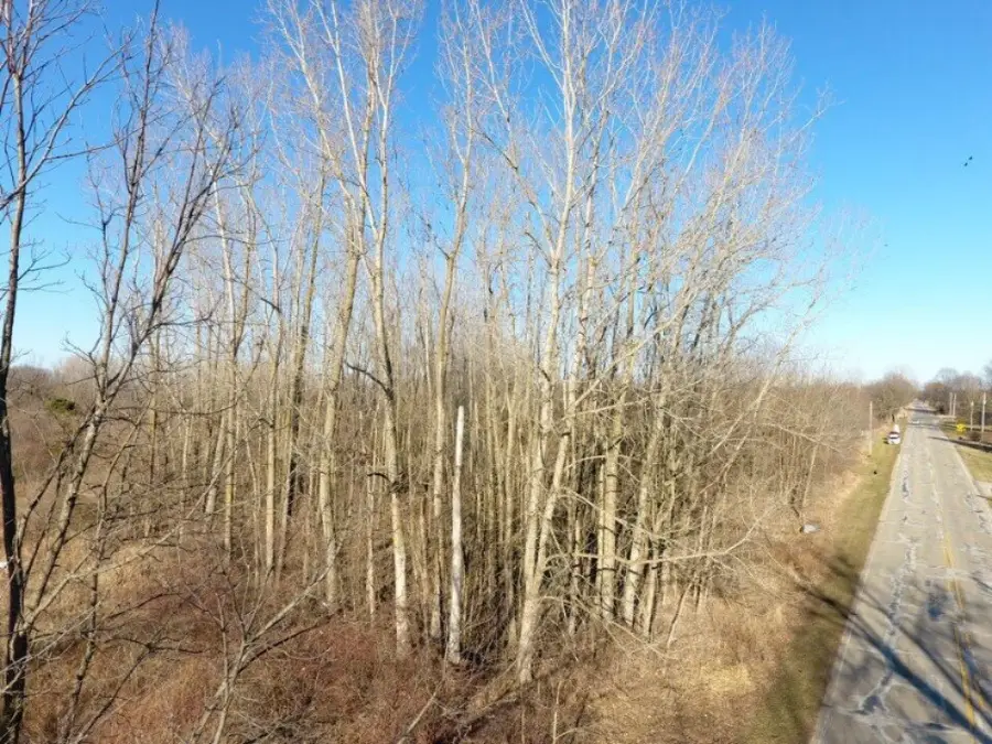 TBD E Main, Maple Rapids, MI 48853 - Image #3