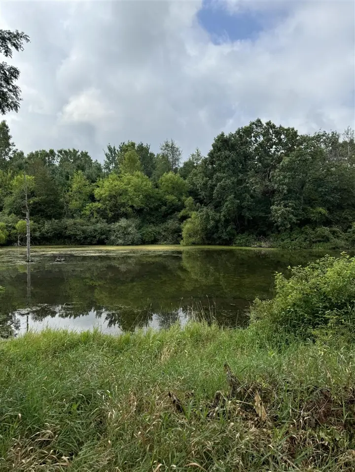 227 Riviera, Brooklyn, MI 49230 - #3