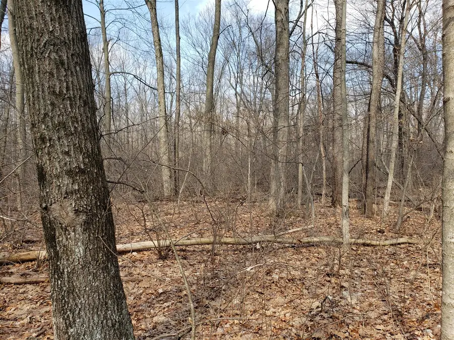 V/L M40, Lawton, MI 49065 - Image #2