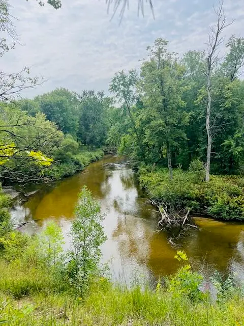 V/L E Winston, Hesperia, MI 49421 - Image #1