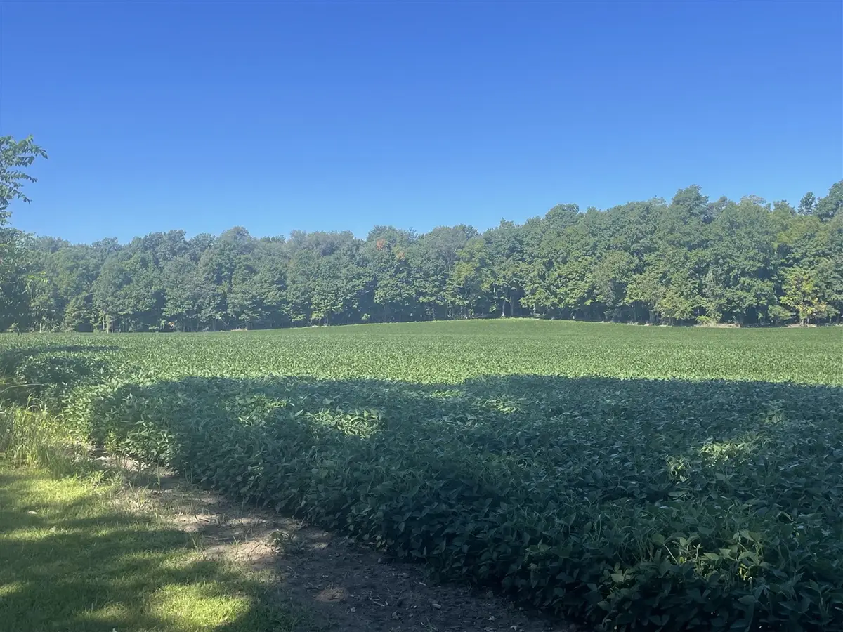 130 Osborn, Bronson, MI 49028 - Image #1