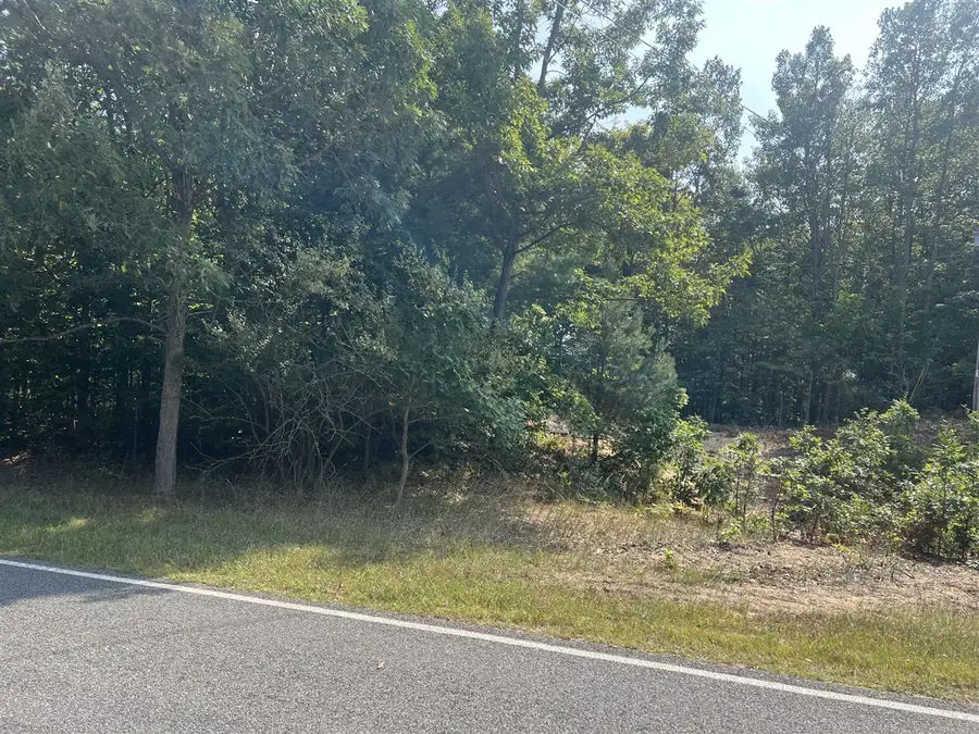 10 Acres W Arthur, New Era, MI 49446 - Image #3