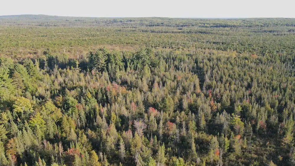 VL River Lake, Roscommon, MI 48653 - Image #1