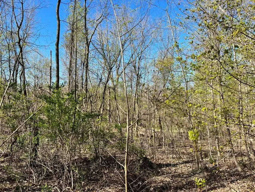 8249 Parcel C M-139, Berrien Springs, MI 49103 - Image #3