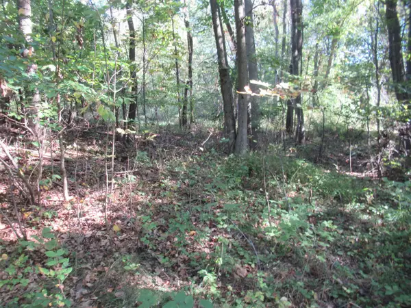 17538 Paradise Lake, Vandalia, MI 49095