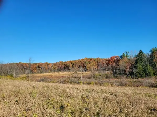 0 S Tripp, Osseo, MI 49266