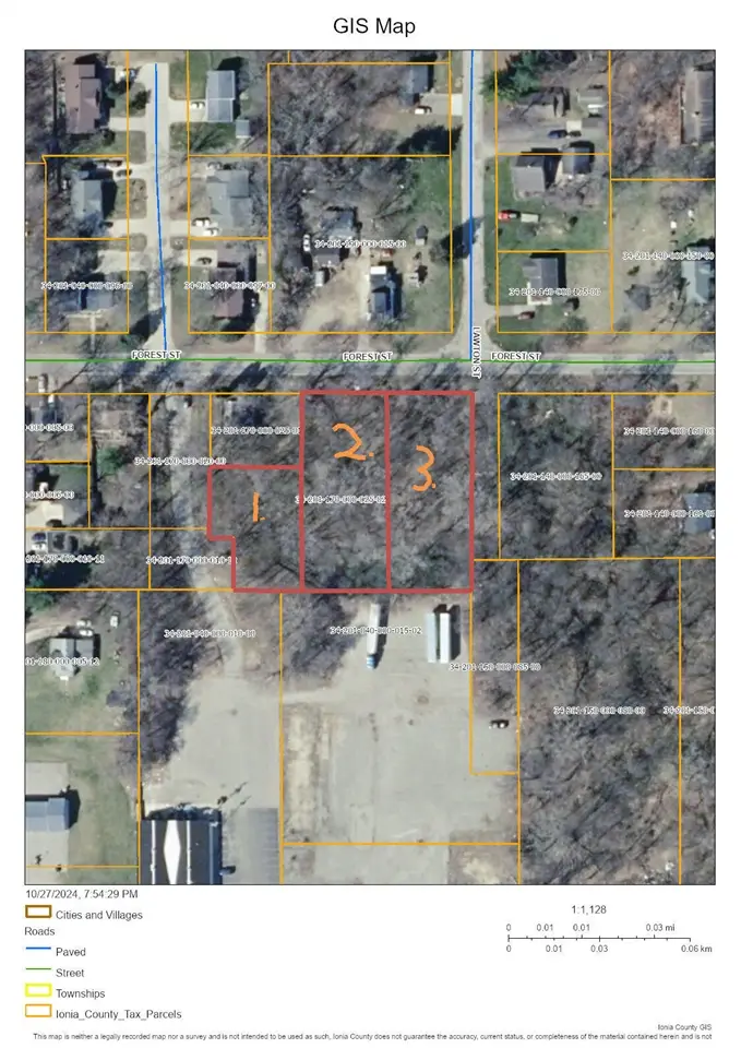 407 Forest, Ionia, MI 48846 - #1