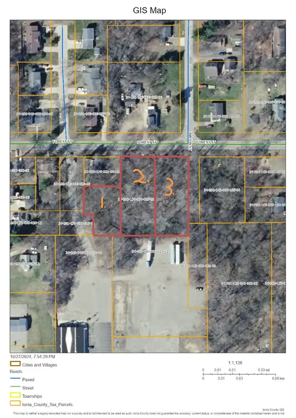 407 Forest, Ionia, MI 48846