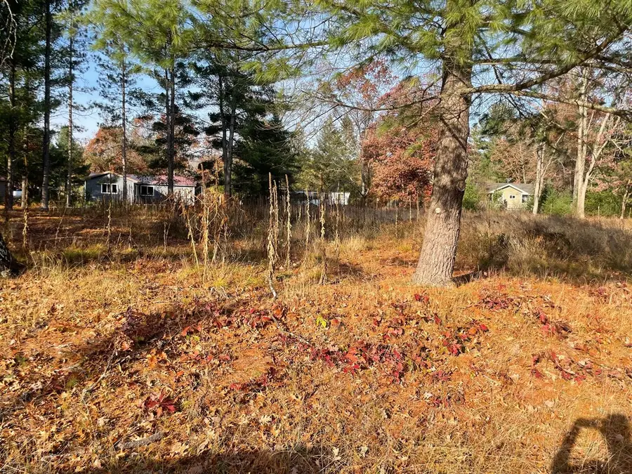 V/L Spring, Wellston, MI 49689 - #3