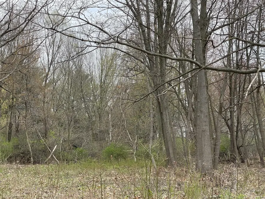 000 Red Arrow, Stevensville, MI 49127 - Image #2