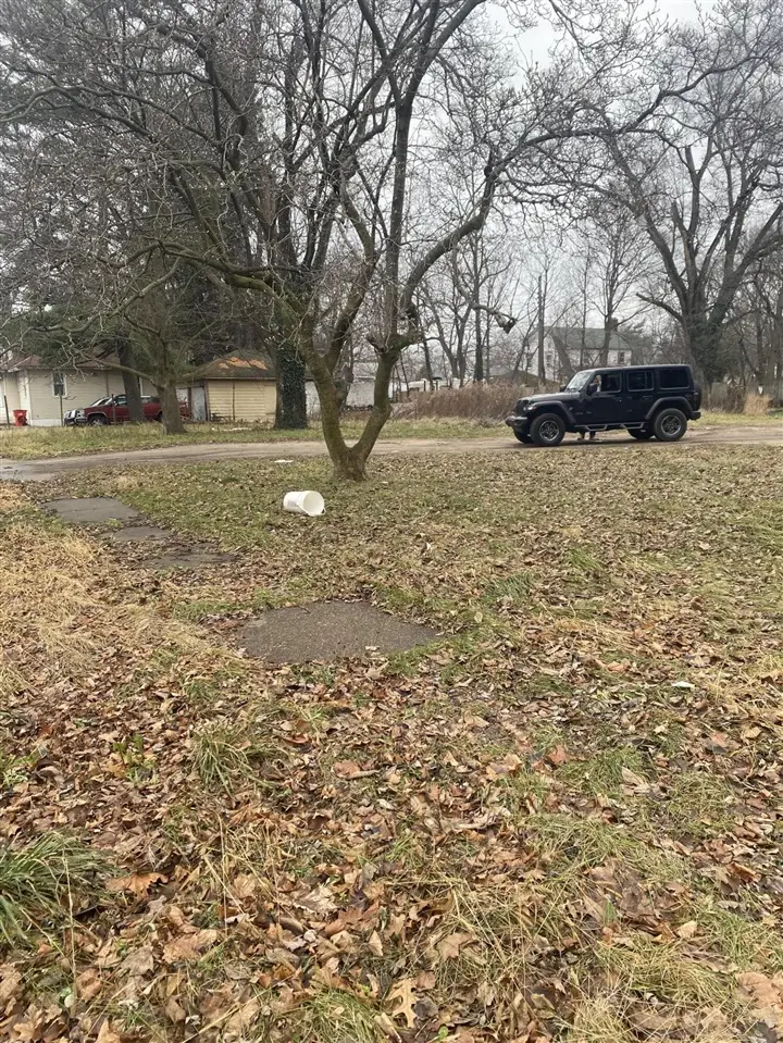 614 Pavone St, Benton Harbor, MI 49022 - #3