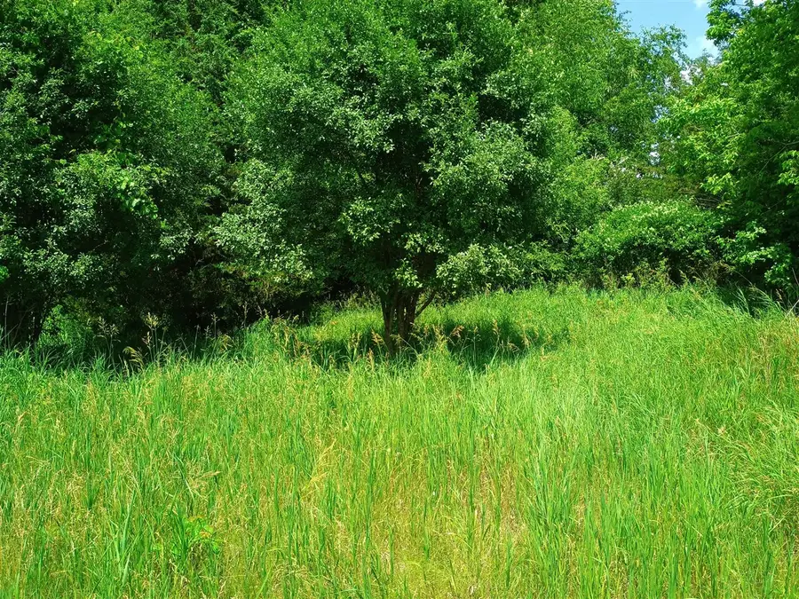 0 Huggins Road, Michigan Center, MI 49254 - Image #3