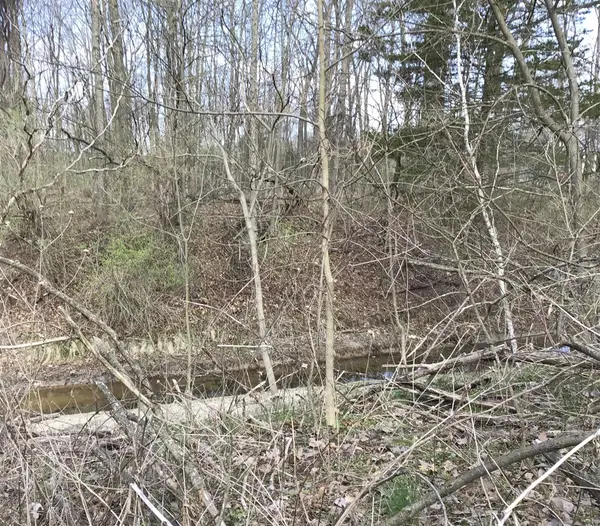 Briarwood, Otsego, MI 49078