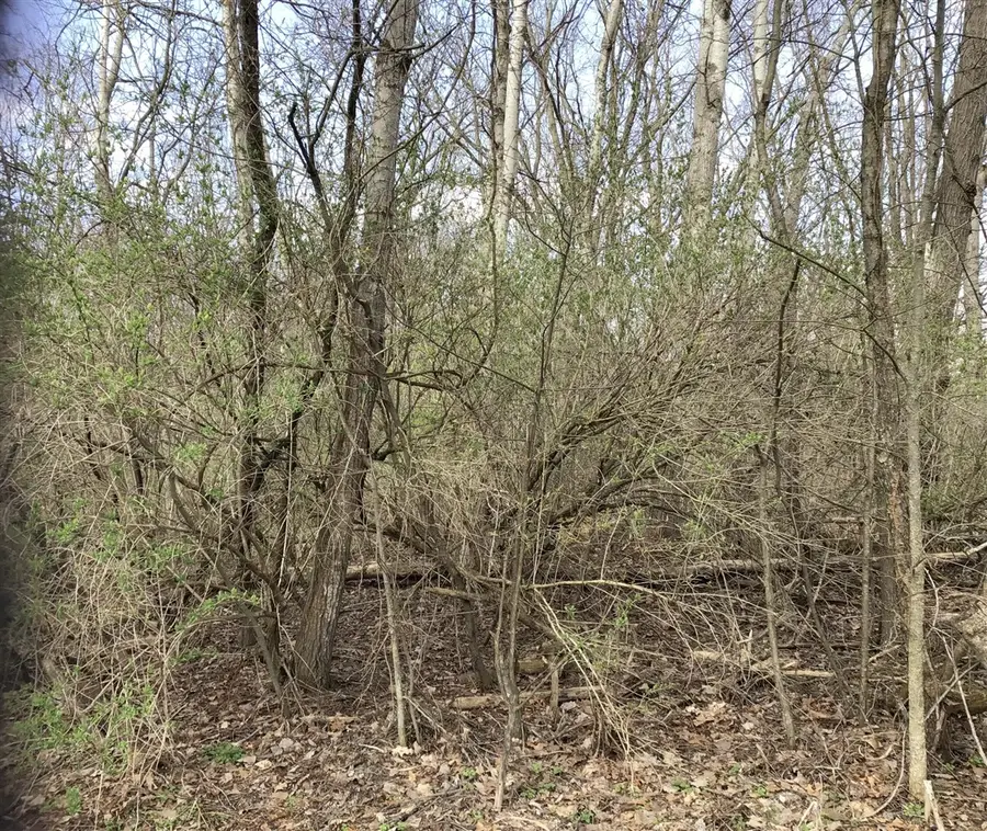 Briarwood, Otsego, MI 49078 - Image #2