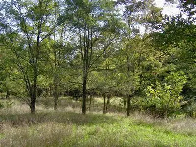 1431 M-89, Otsego, MI 49078 - Image #3