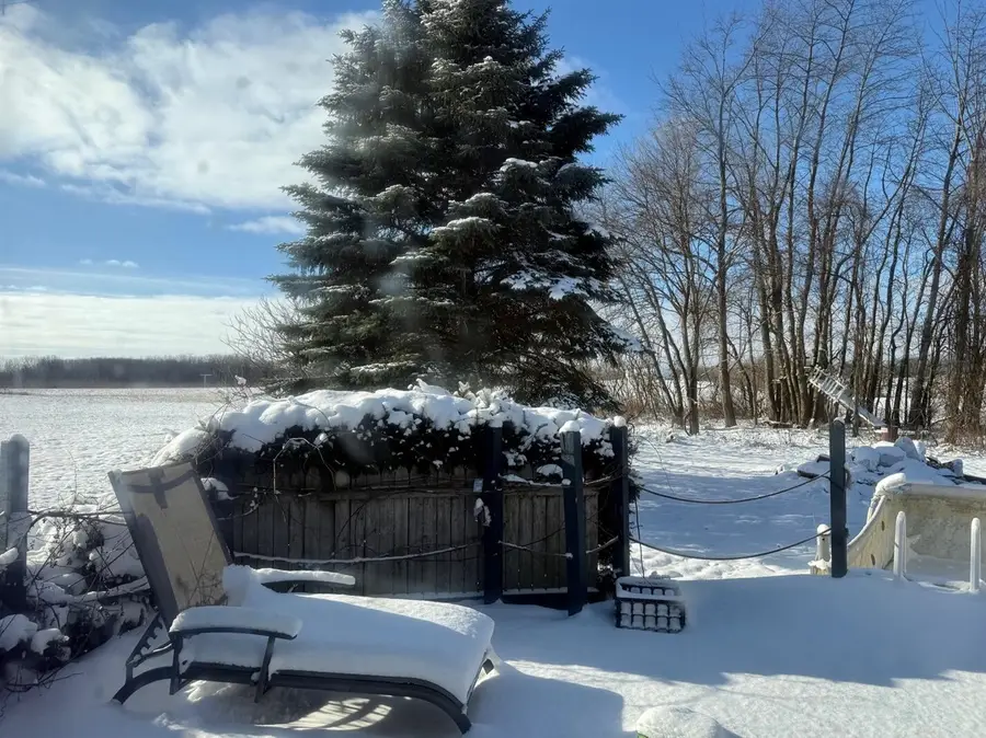 65 N Newaygo, Casnovia Township, MI 49318 - Image #2