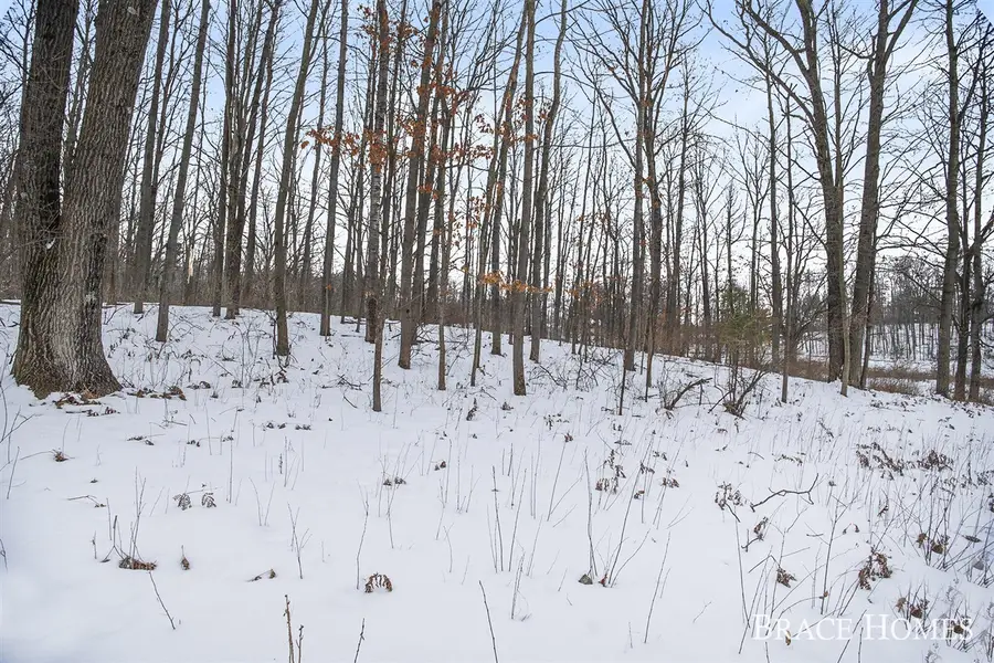 8426 Manitoba, Stanwood, MI 49346 - Image #3