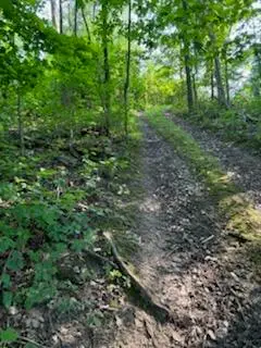 7908 Park, Rodney, MI 49342 - Image #3