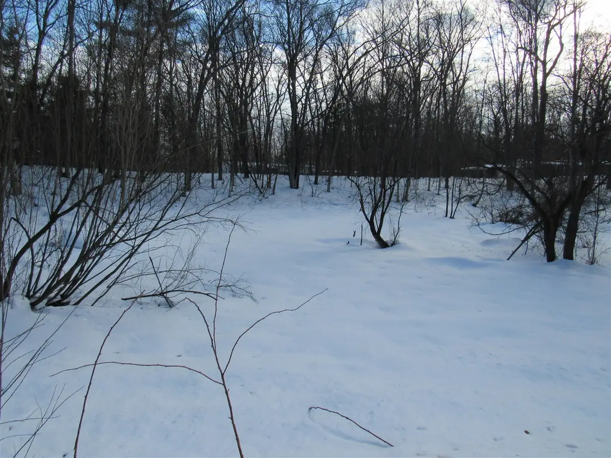 V/l Marion, Wellston, MI 49689 - Image #1