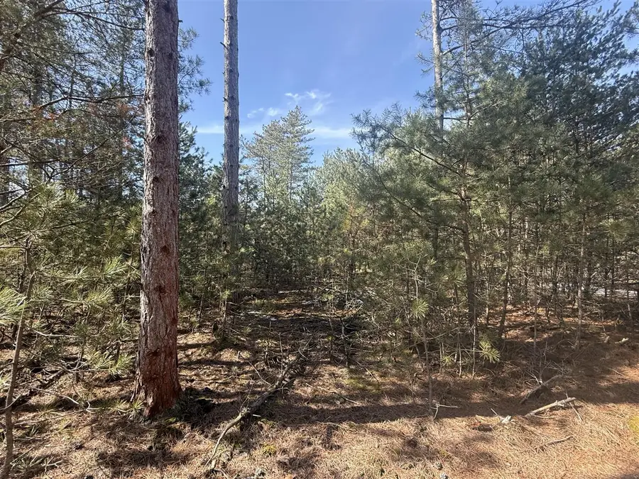 V/L W Pine Acres, Hart, MI 49420 - Image #3