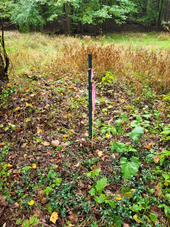 1500 W Bertrand Rd, Niles, MI 49120 - Image #3