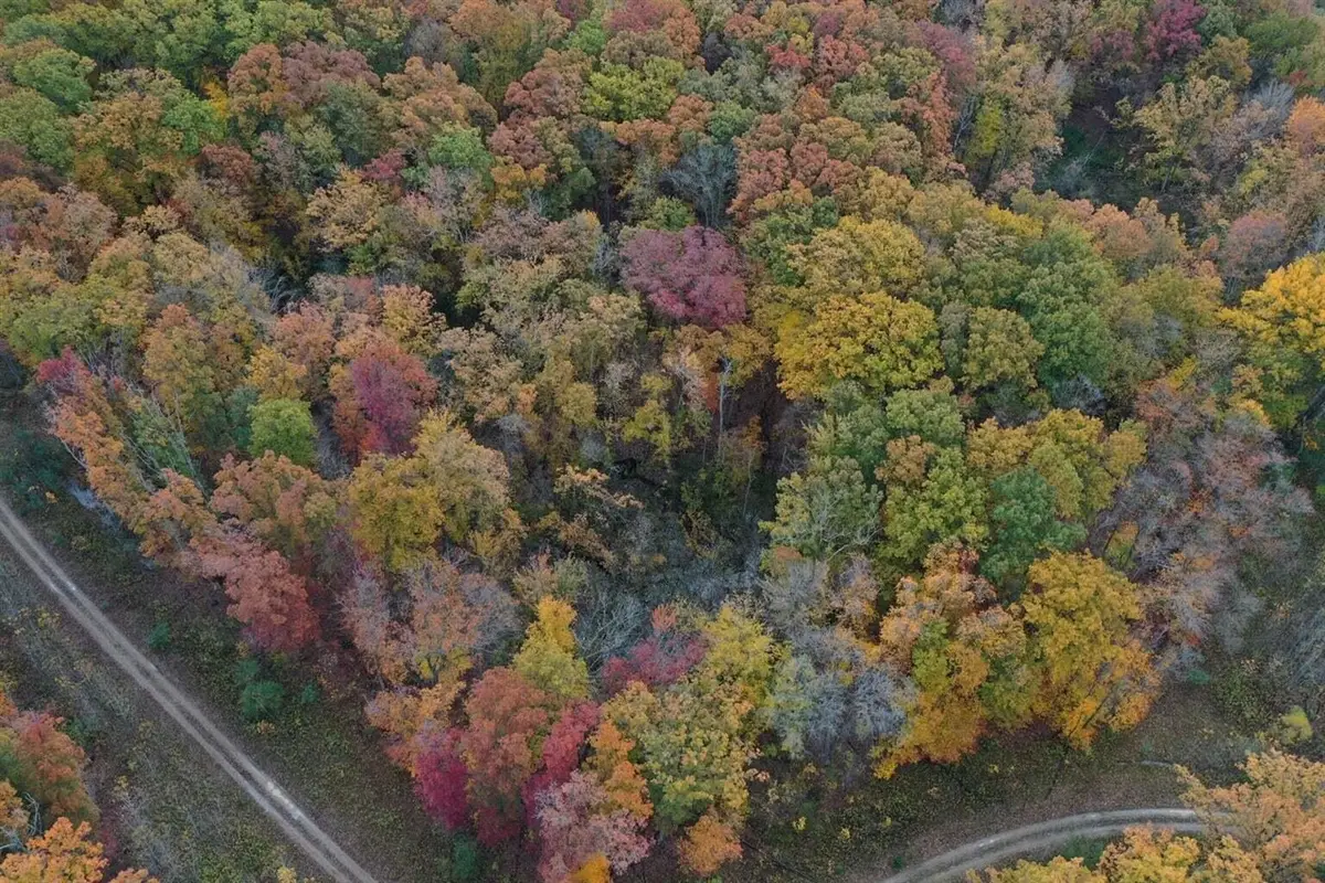 Meadowood, Lakeside, MI 49116 - Image #1