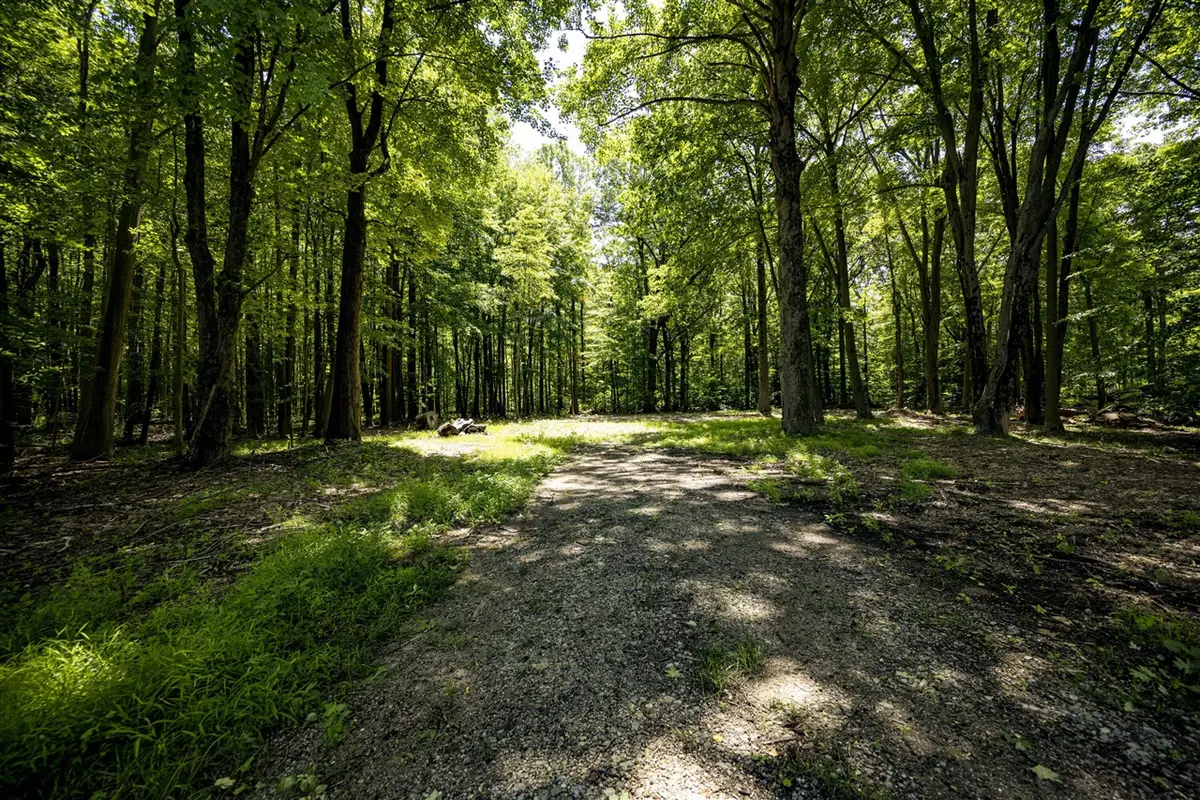 0 Youngren, Harbert, MI 49115 - #1