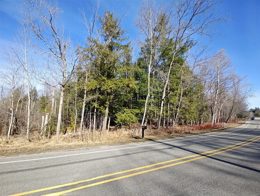 VL W Lake Mitchell Drive, Cadillac, MI 49601 - #2