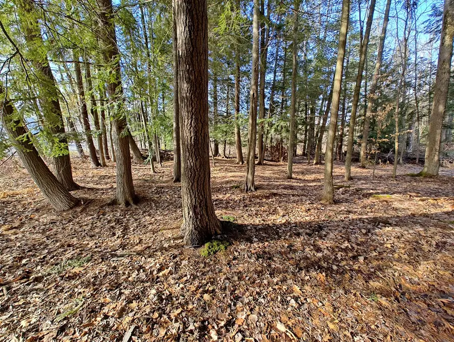 VL W Lake Mitchell Drive, Cadillac, MI 49601 - #3