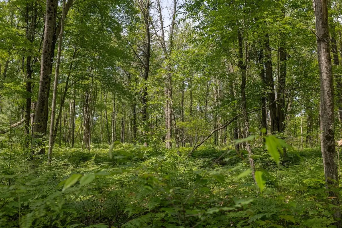 000 V/L 13 Mile Rd., Bitely, MI 49309 - #1