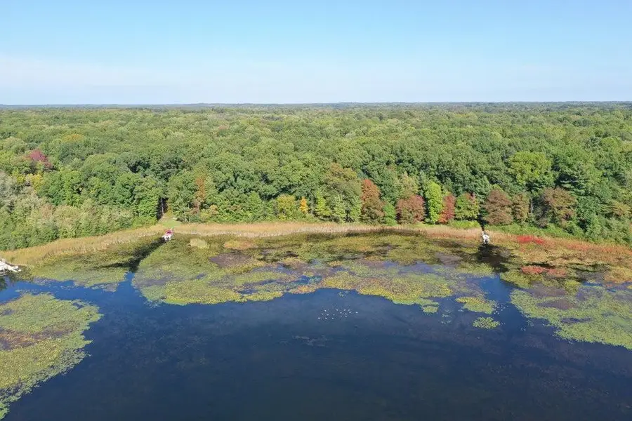 50th Vl Lake, Grand Junction, MI 49056 - Image #3