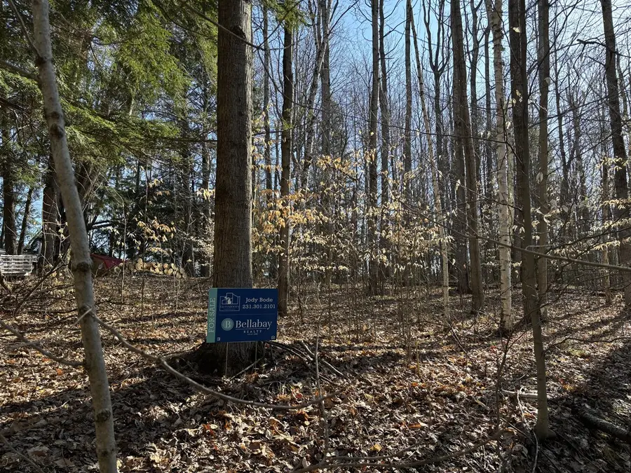 VL Lot 811 Miramichi, Evart, MI 49631 - #2