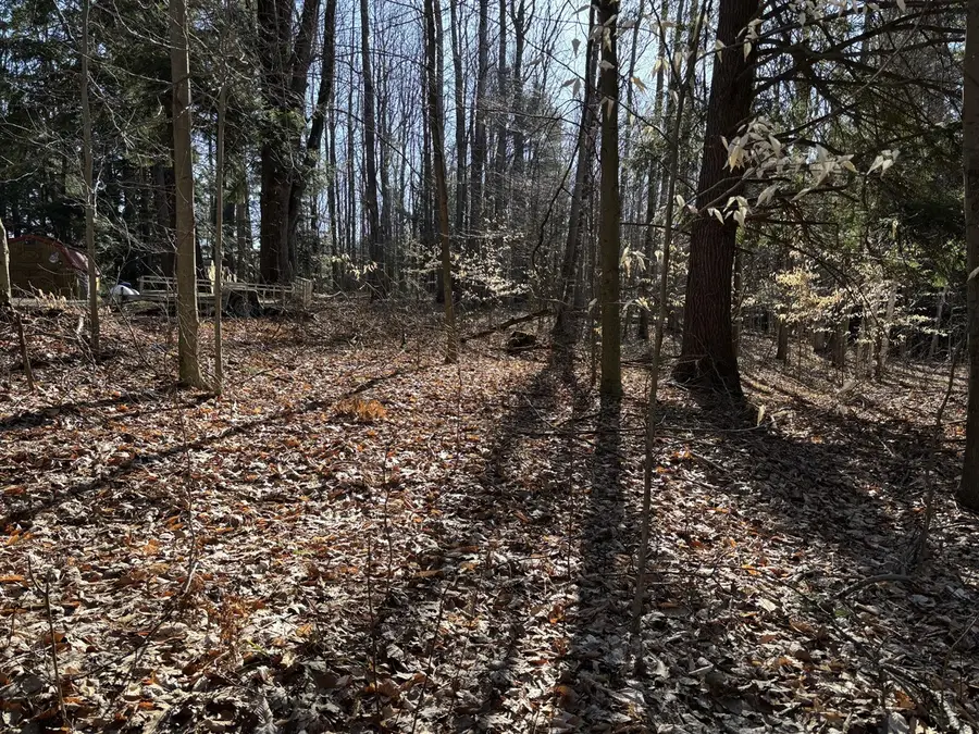 VL Lot 811 Miramichi, Evart, MI 49631 - #3