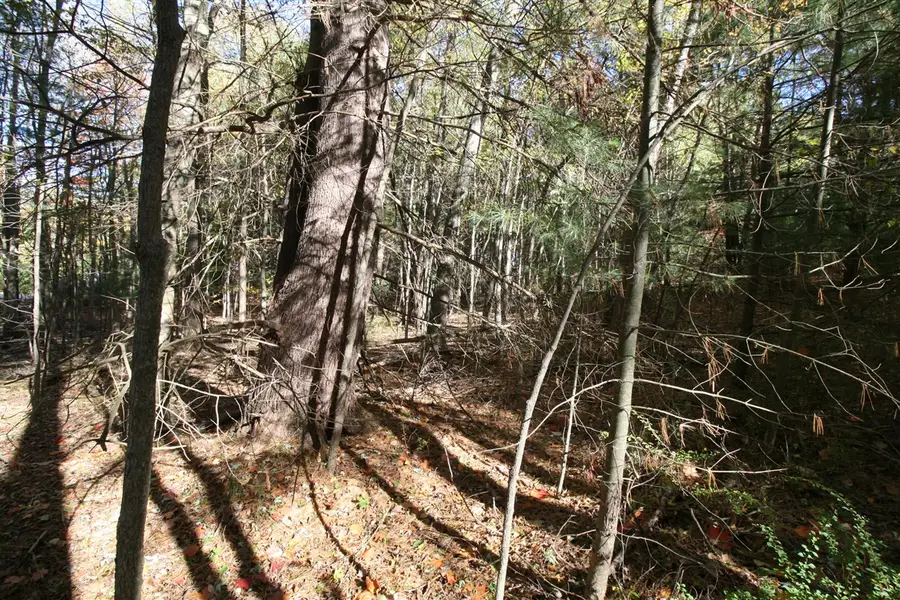 D.2 70th, South Haven, MI 49090 - Image #3