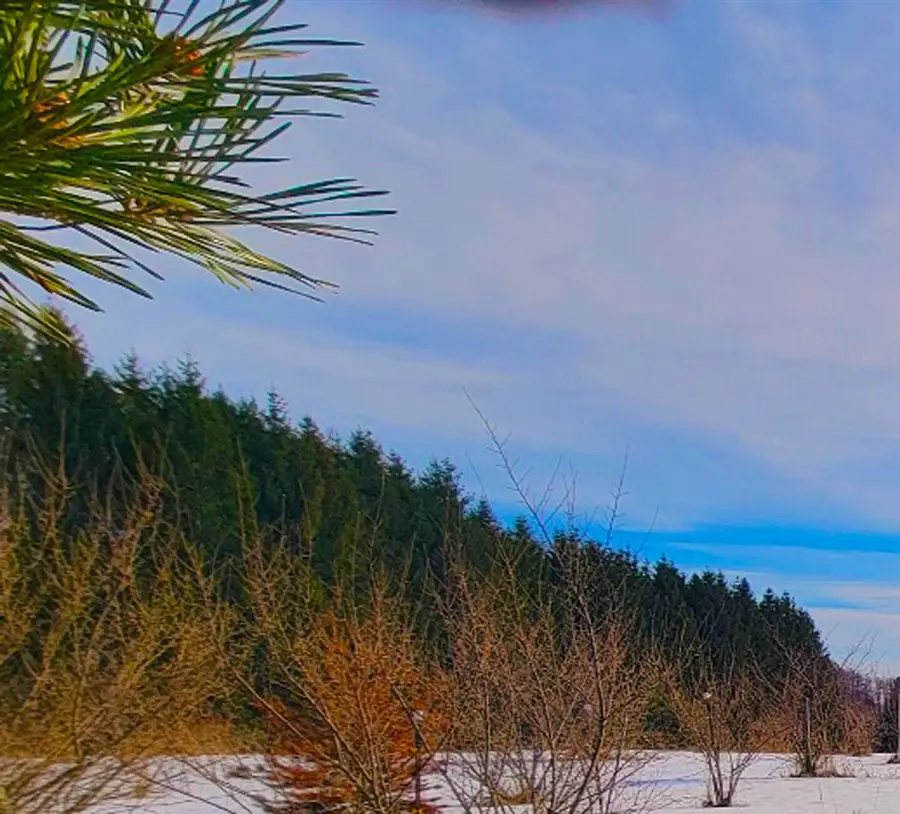 9866 Erdman, Onekama, MI 49675 - Image #2