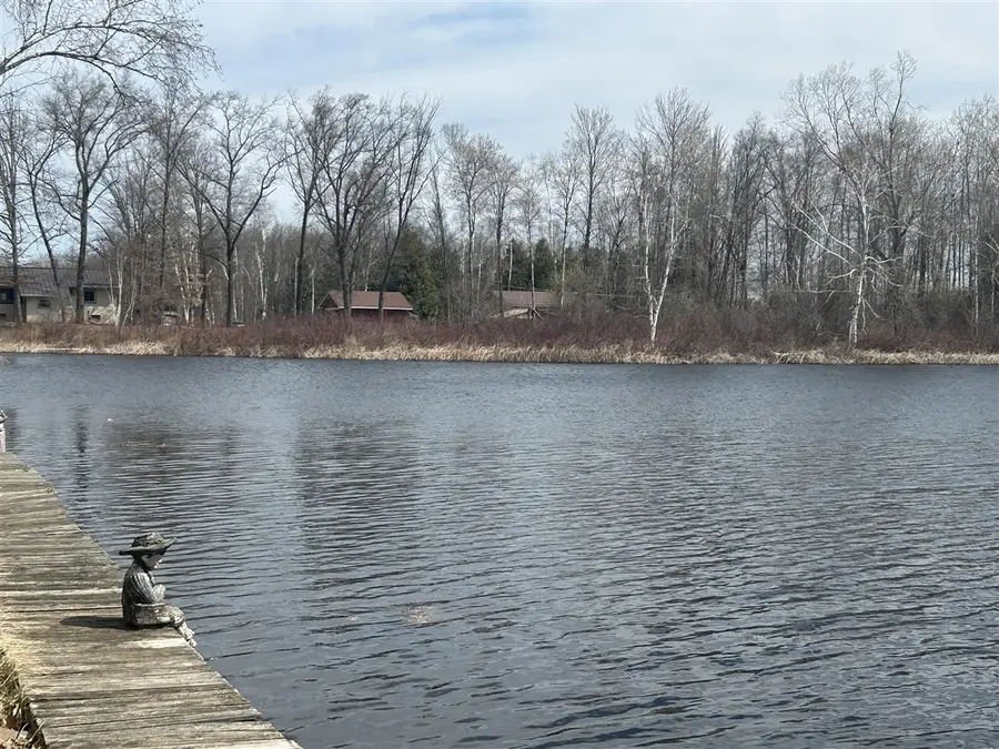 5383 Birch Island #101, Barryton, MI 49305 - #3