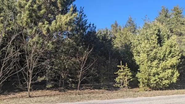0 Tenth, Bear Lake, MI 49614